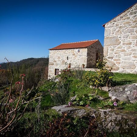 Casas Dos Avos Konuk evi Vale de Cambra Oda fotoğraf