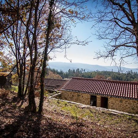 Casas Dos Avos Konuk evi Vale de Cambra Oda fotoğraf