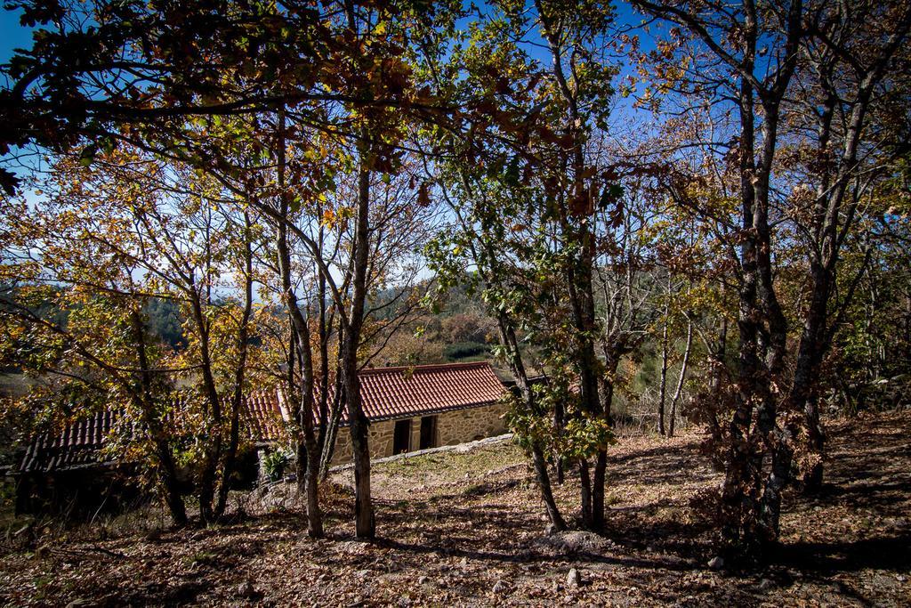 Casas Dos Avos Konuk evi Vale de Cambra Oda fotoğraf