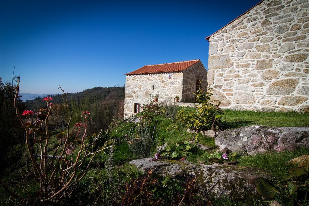Casas Dos Avos Konuk evi Vale de Cambra Oda fotoğraf