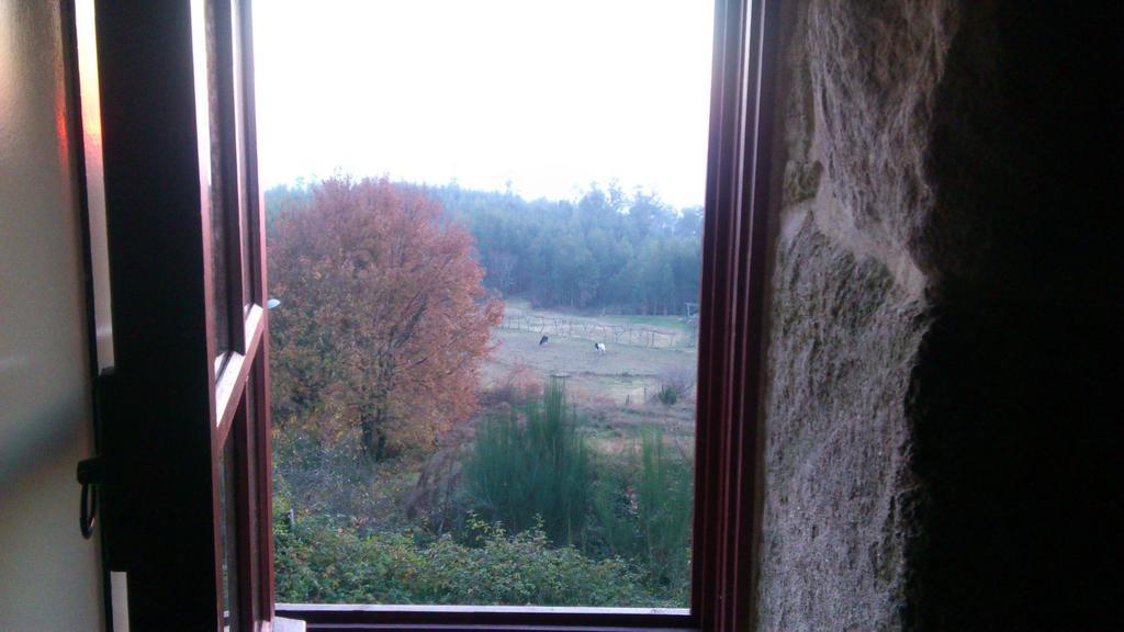 Casas Dos Avos Konuk evi Vale de Cambra Oda fotoğraf