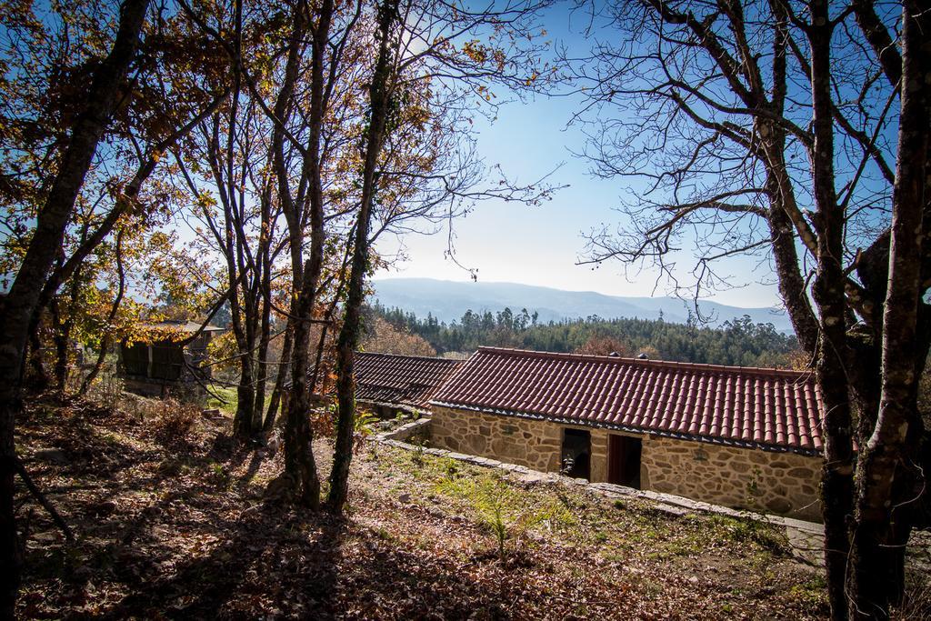 Casas Dos Avos Konuk evi Vale de Cambra Oda fotoğraf