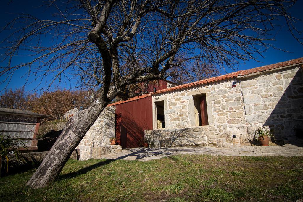 Casas Dos Avos Konuk evi Vale de Cambra Oda fotoğraf